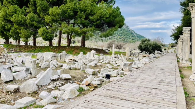 トルコ エフェソス遺跡内の通り